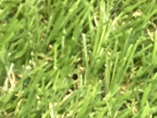 o`q`cxl@`@rlnjd@l`w@@X°