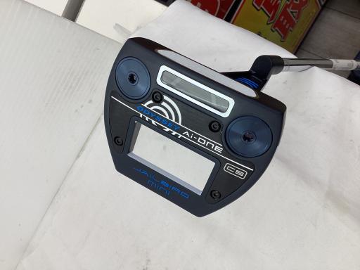 Ａｉ－ＯＮＥ　ＴＲＩ－ＢＥＡＭ　ＪＡＩＬＢＩＲＤ　ＭＩＮＩ　ＣＳ　３４インチ