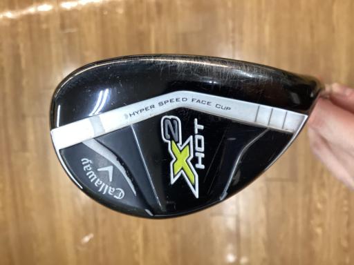 �w�Q�@�g�n�s�@�t�R