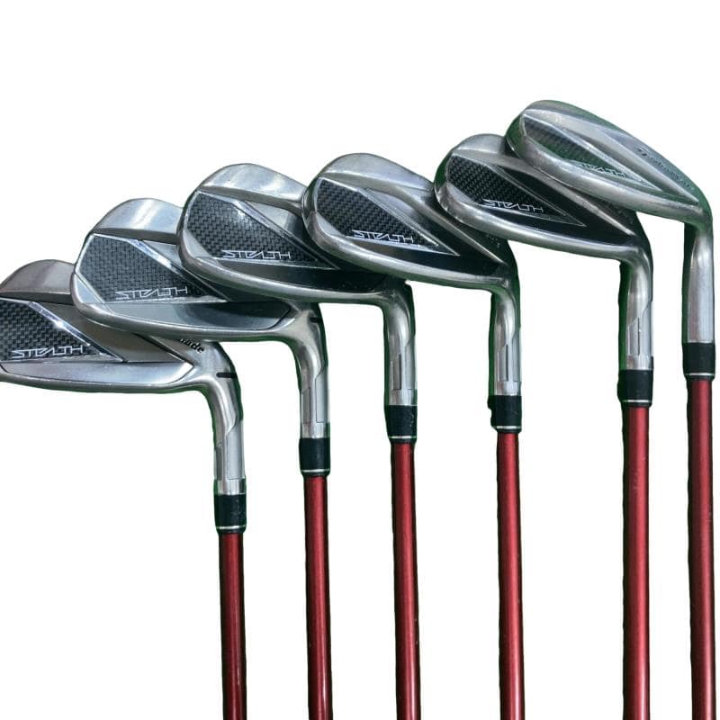 �r�s�d�`�k�s�g�@�@�V�r�@���f�B�[�X�i���{���F�U�{�Z�b�g�j