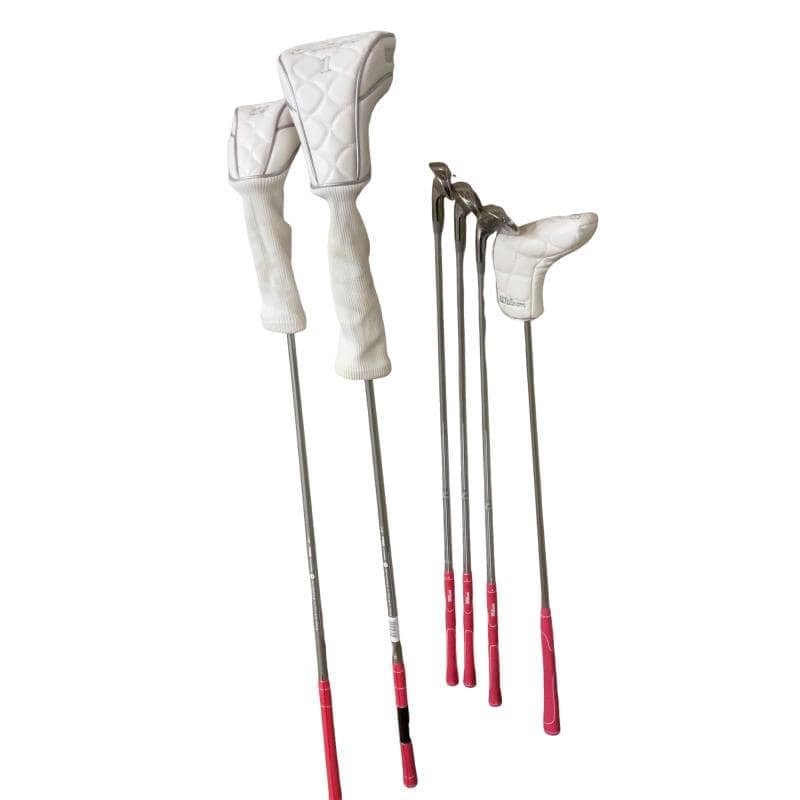 �v�����������@�s���������@�l�n�c�`�@�U�r�i�z���C�g�j�@���f�B�[�X�i���{���F�U�{�Z�b�g�j