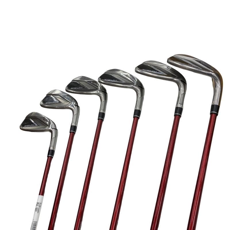 �r�s�d�`�k�s�g�@�@�U�r�@���f�B�[�X�i���{���F�U�{�Z�b�g�j