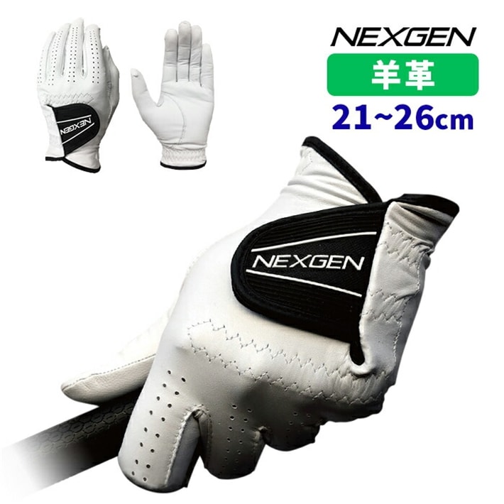 NEXGEN St O[u nCNIeB rv G`IsAV[v NGV-202 zCg Stp[gi[ lNXWF