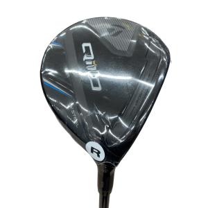 �p���P�O�@�T�v