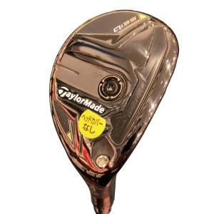 �p���R�T�@�t�S