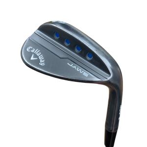 �l�c�@�T�@�i�`�v�r�@�c�A�[�O���[�@�T�W°�^�P�Q°�v