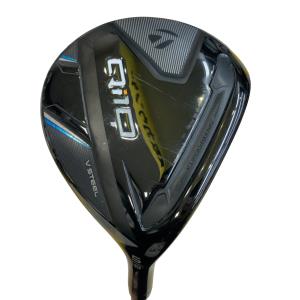 �p���P�O�@�T�v