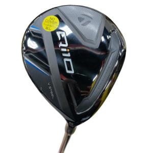 �p���P�O�@�T�v