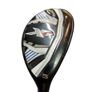 �w�q�@�t�T�@���f�B�[�X