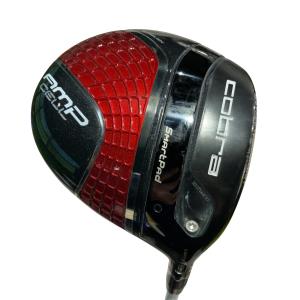 �����������@�`�l�o�@�b�d�k�k�@�P�v�i���b�h�j�@�t�r�`