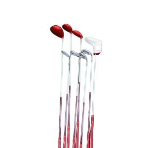 �v�����������@�s���������@�l�n�c�`�@�W�r�i���b�h�j�@���f�B�[�X