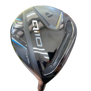 �p���P�O�@�T�v