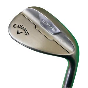 �n�o�t�r�@�N�����@�T�Q°�^�P�Q°�v