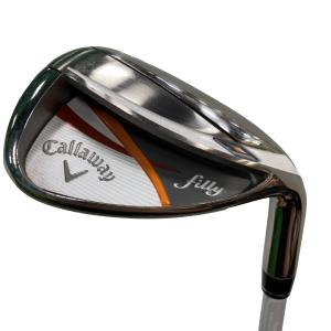 �����������@�`�v�@���f�B�[�X