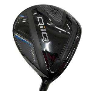 �p���P�O�@�T�v