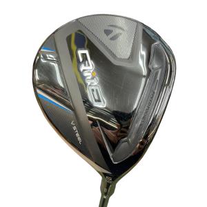 �p���P�O�@�T�v