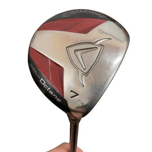 �c�h�`�a�k�n�@�n�����������@�V�v