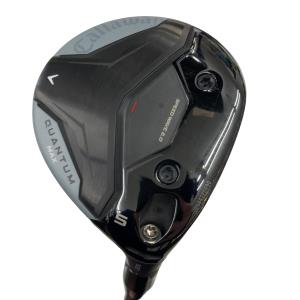 �p�t�`�m�s�t�l�@�l�`�w�@�@�T�v