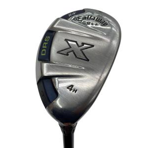 �w�@�c�q�r�@���[�e�B���e�B�@�S�g�i�Q�S°�j