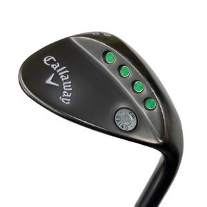 �o�l�@�f�q�h�m�c�@�c�A�[�O���C�@�T�W°�^�P�Q°�@�t�r�`