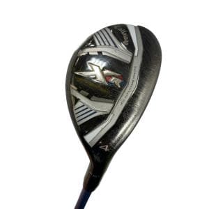 �w�q�@�t�S�@���f�B�[�X