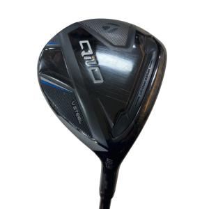 �p���P�O�@�T�v