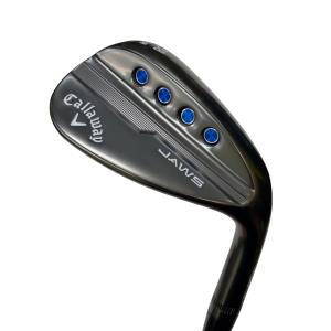 �l�c�@�T�@�i�`�v�r�@�c�A�[�O���[�@�T�W°�^�O�W°�v