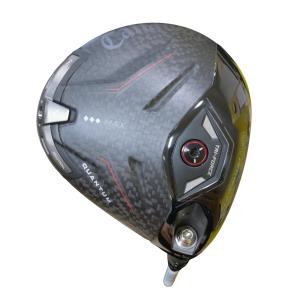 �p�t�`�m�s�t�l�@�������@�l�`�w�@�@�X°