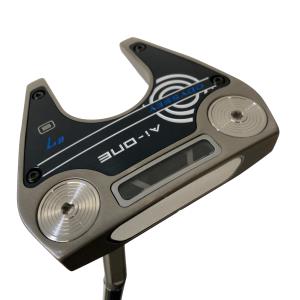 �`���|�n�m�d�@���V�@�r�@�V���o�[�i�J�X�^���j