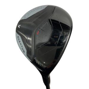 �p�t�`�m�s�t�l�@�l�`�w�@�P�P�v