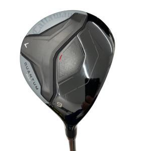 �p�t�`�m�s�t�l�@�l�`�w�@�@�X�v