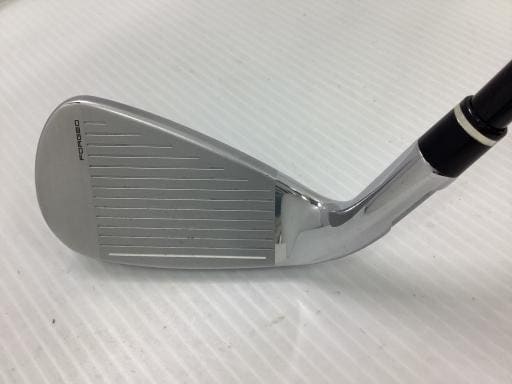 �r�h�l�@�f�k�n�h�q�d�@�V�r�i���{���F�V�{�Z�b�g�j