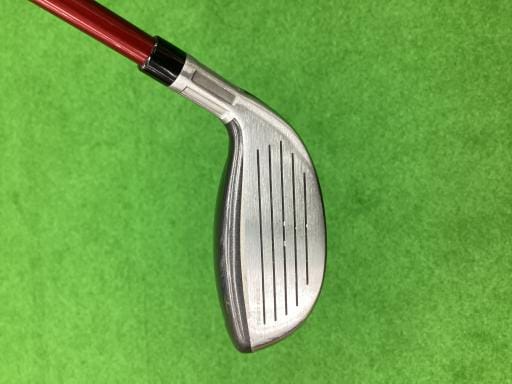 �r�s�d�`�k�s�g�@�t�S�@���f�B�[�X