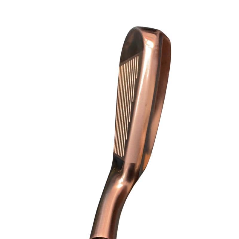 �r�h�l�@�c�g�x�@�t�S