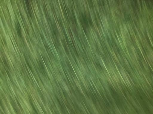 �u�n�j�d�x�@�r�o�h�m�@�l�h�k�k�d�c�@�r�l�S�@�c�A�[�N�����@�T�Q°�^�O�W°