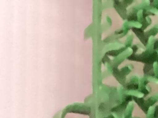 �w�w�h�n�i�Q�O�P�S�j�@�R�v