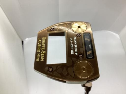 Ａｉ－ＯＮＥ　ＧＩＲＡＦＦＥ－ＢＥＡＭ　ＪＡＩＬＢＩＲＤ　ＭＩＮＩ　３３インチ