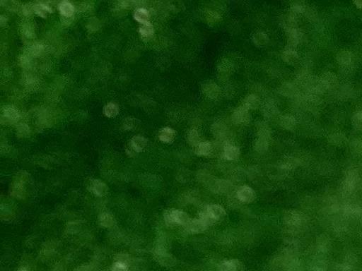 �u�n�j�d�x�@�b�n�k�c�@�e�n�q�f�d�c�i�Q�O�P�T�j�@�T�Q°�^�P�O°�e