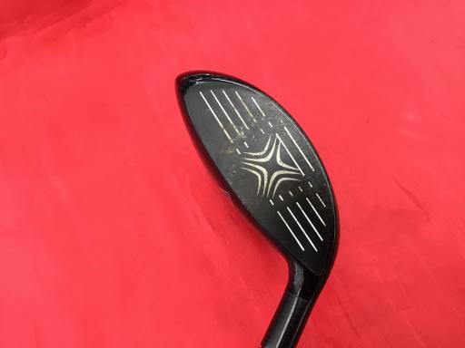 �w�Q�@�g�n�s�@�@�T�v�@���t�e�B