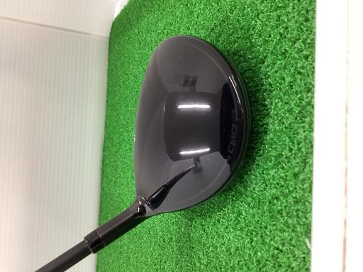 �p���P�O�@�T�v