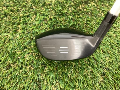 �l�Q�@�t�U�@���f�B�[�X