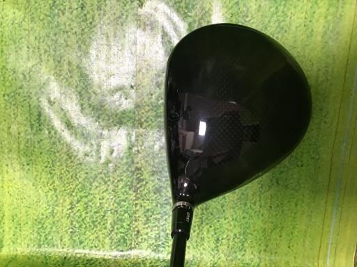 �q�l�w�@�u�c�^�l�i�Q�O�Q�S�j�@�P�O�D�T°