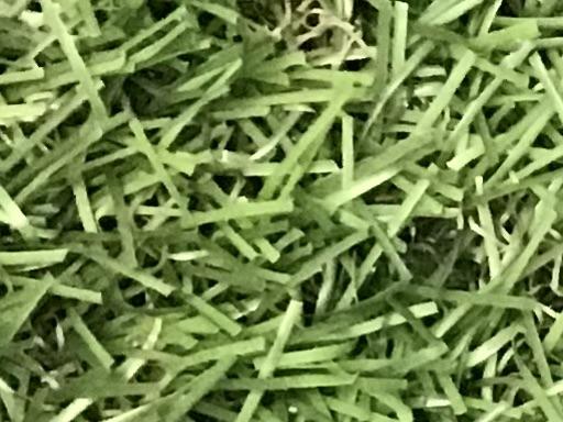 �b�����������������@�b�e�w�@�T�O°�^�P�P°