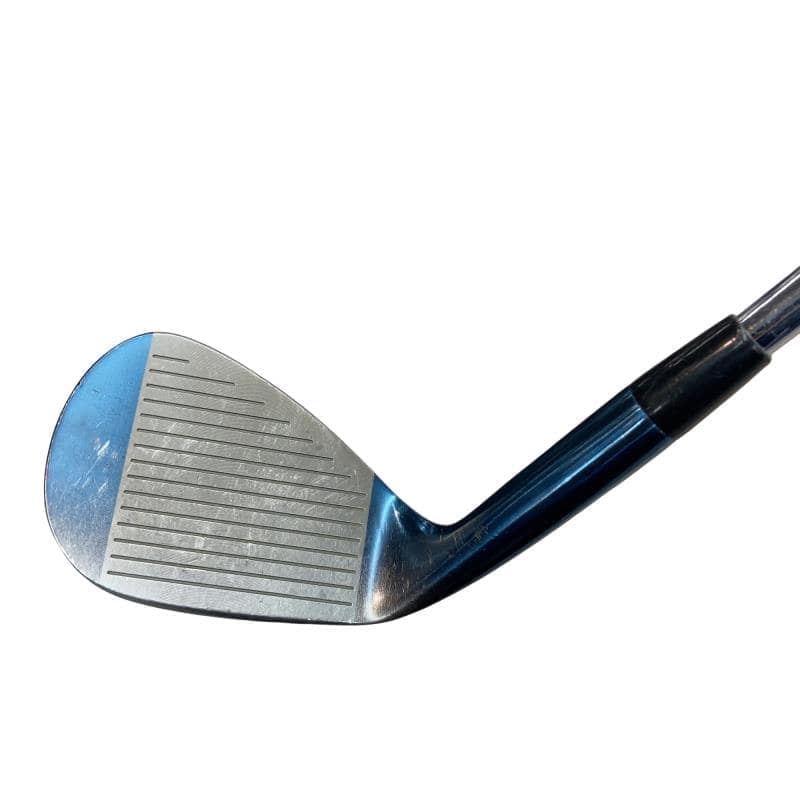 �l�����������@�o�����@�r�P�W�i�u���[�j�@�T�Q°�^�O�X°