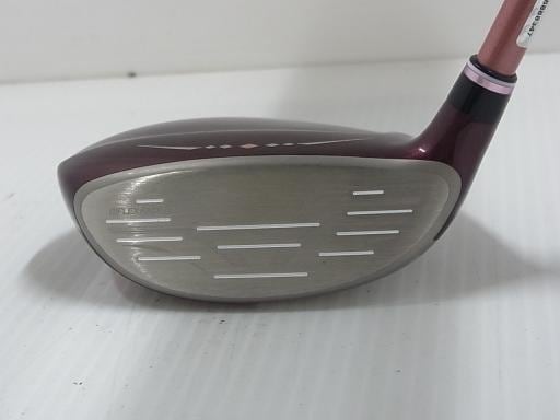 �w�w�h�n�i�Q�O�Q�S�j�@�T�v�i�{���h�[�j�@���f�B�[�X