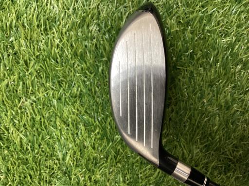 �s�n�t�q�@�v�n�q�k�c�@�s�v�V�S�V�@�R�g�k