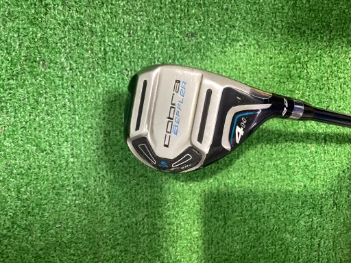 �a�������������@�w�k�@�S�g