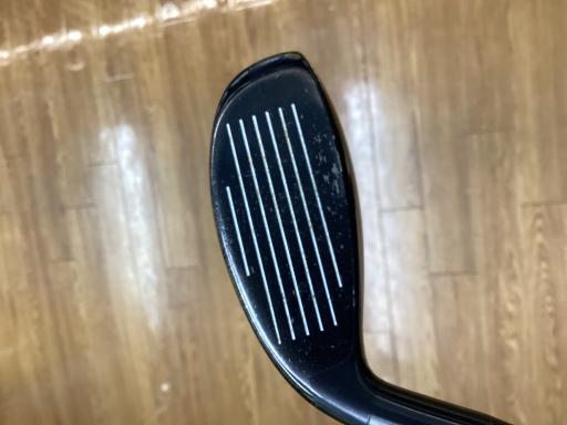 �w�Q�@�g�n�s�@�t�R