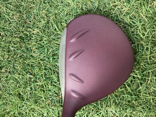 �f�@�k���Q�@�V�v�@���f�B�[�X