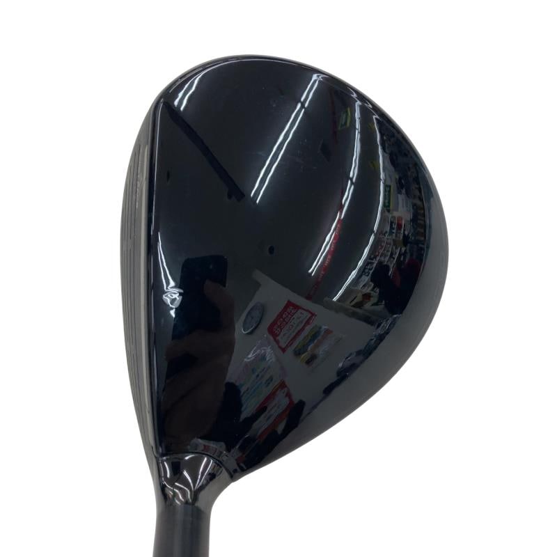 �p���P�O�@�T�v